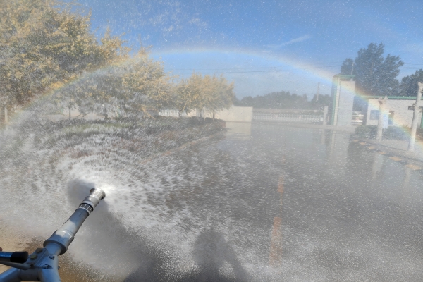 1748935164810845.jpg 3(1).jpg