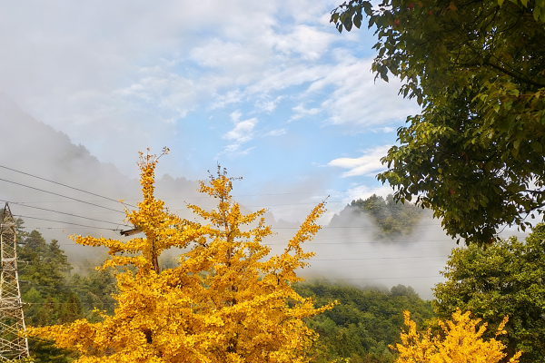 1765870370929204.png 處理圖1.png