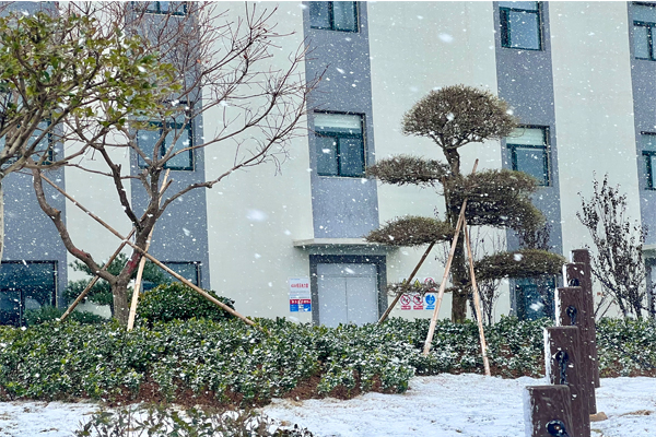 1765870481430750.jpg 初雪1.jpg