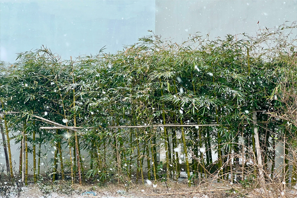 1765870492979835.jpg 初雪2.jpg