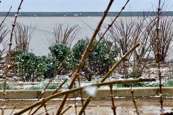 1765870501144104.jpg 初雪3.jpg