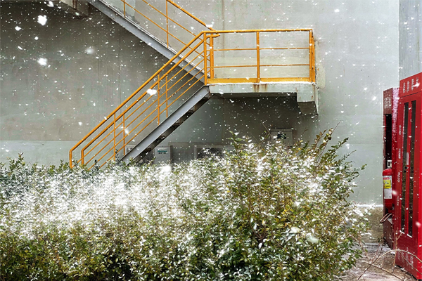 1765870508199499.jpg 初雪4.jpg